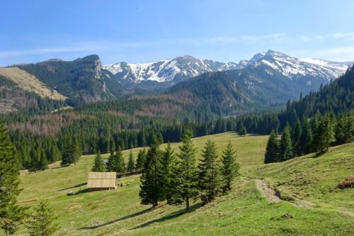 Snow-capped mountains overlook a green valley with pine trees and a wooden cabin in the foreground under a clear blue sky, bright day