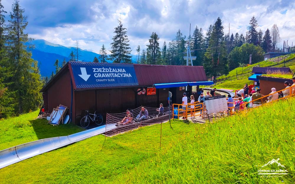 People line up for a gravity slide attraction next to a brown building on a grassy mountain slope.