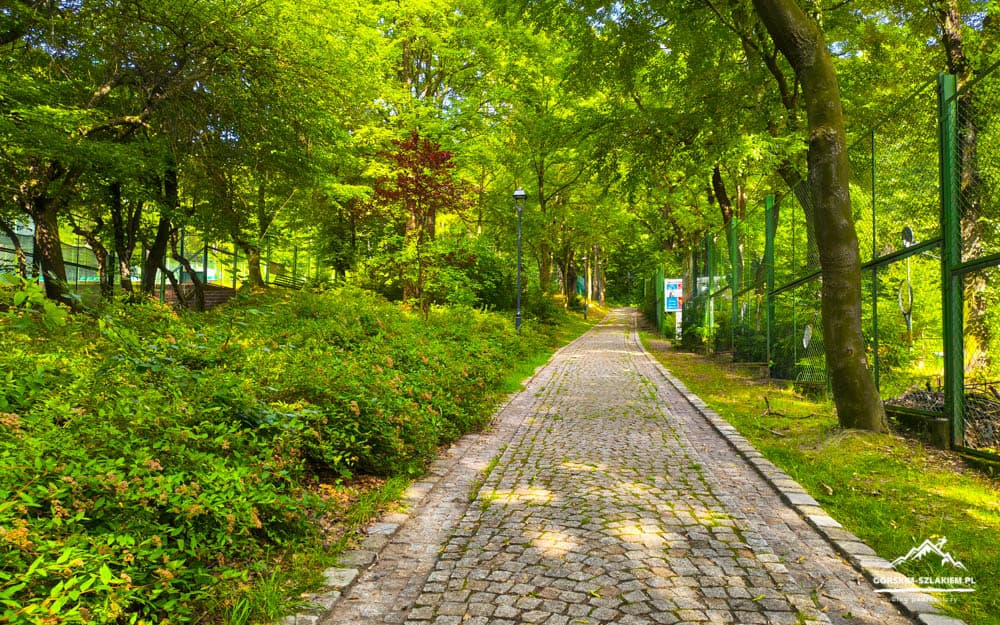 Cobblestone path through a sunlit green park, flanked by trees and a tall green fence on the right.
