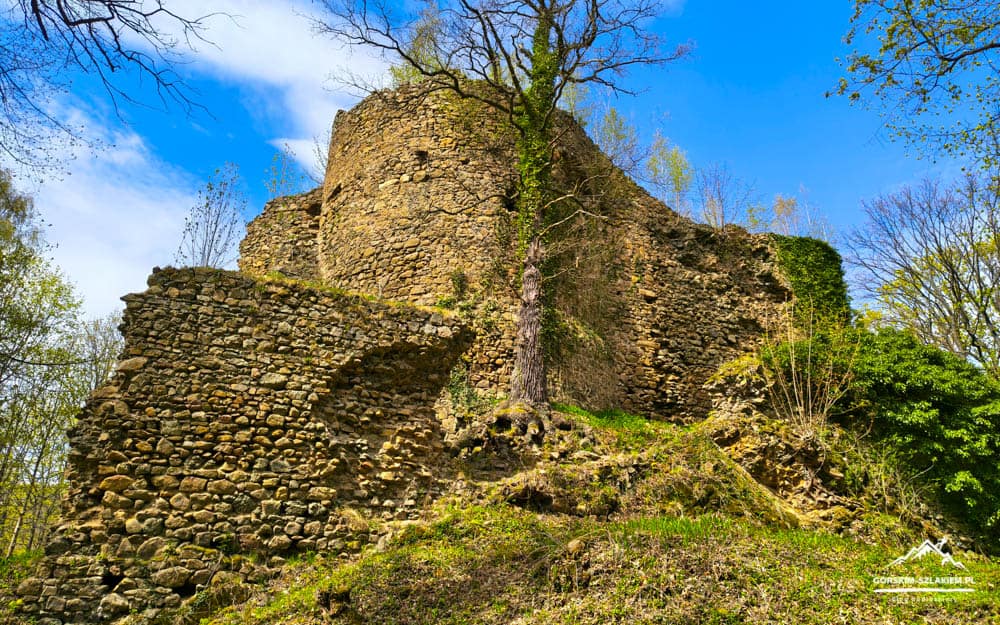 Ancient stone fortress ruin atop a grassy hill, with a tree growing beside the weathered wall under a bright blue sky.