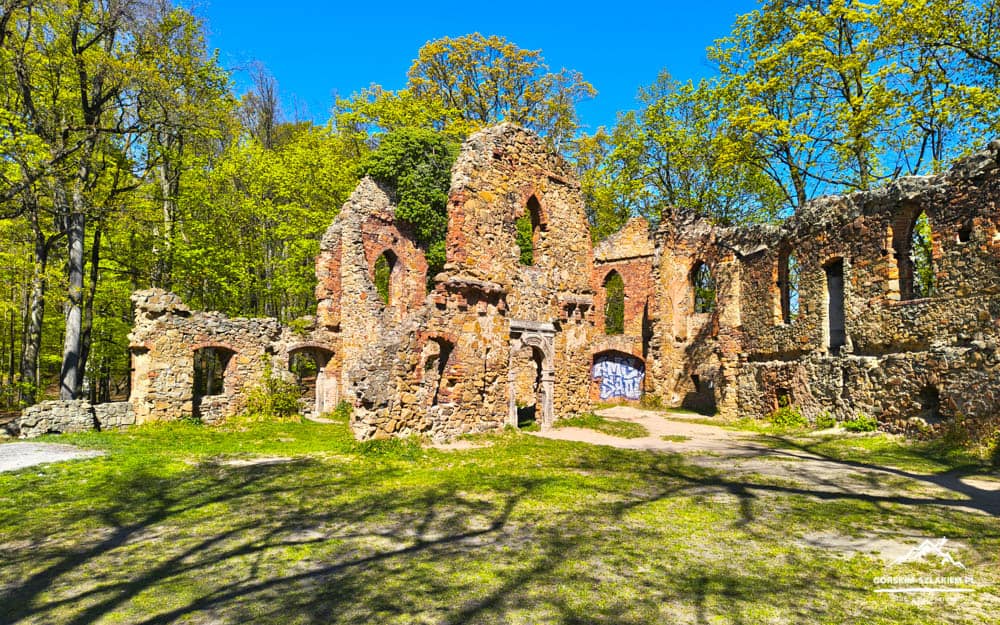 Ruined stone building in a sunlit forest, with arches and graffiti on a wall against a bright blue sky.