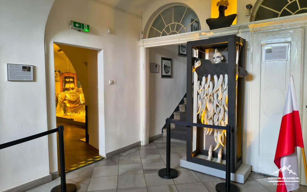Museum hallway with a tall display case holding numerous fish skeletons and a mannequin head above it, near a Polish flag.