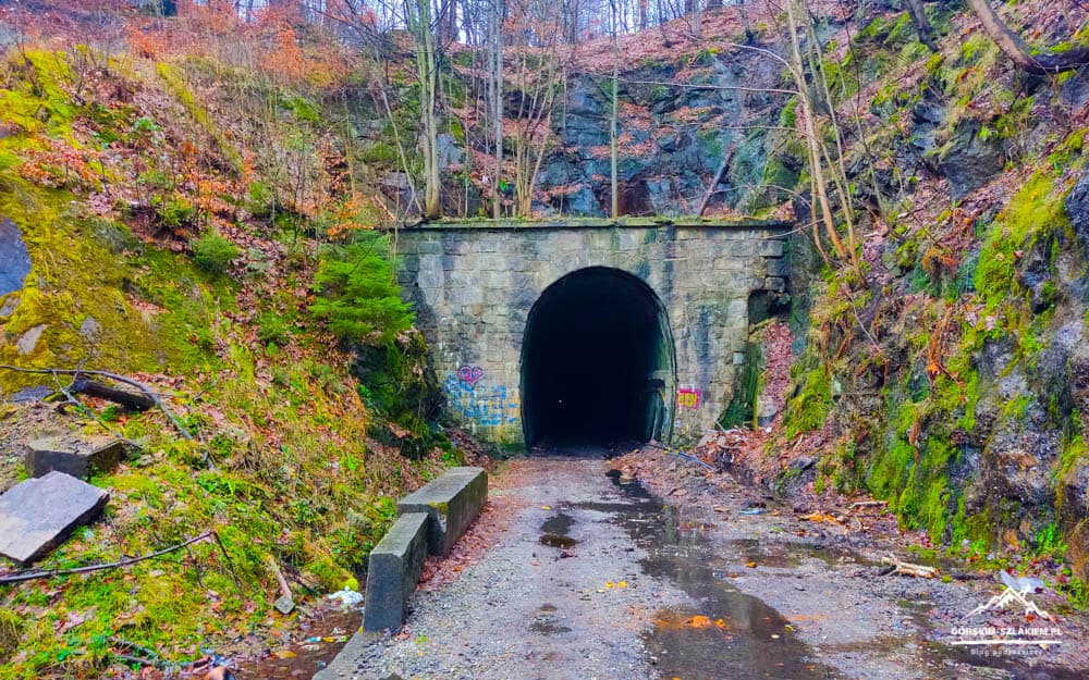 Stone tunnel entrance in a mossy hillside, a wet dirt road leads into darkness amid autumn foliage and graffiti on the wall sides.