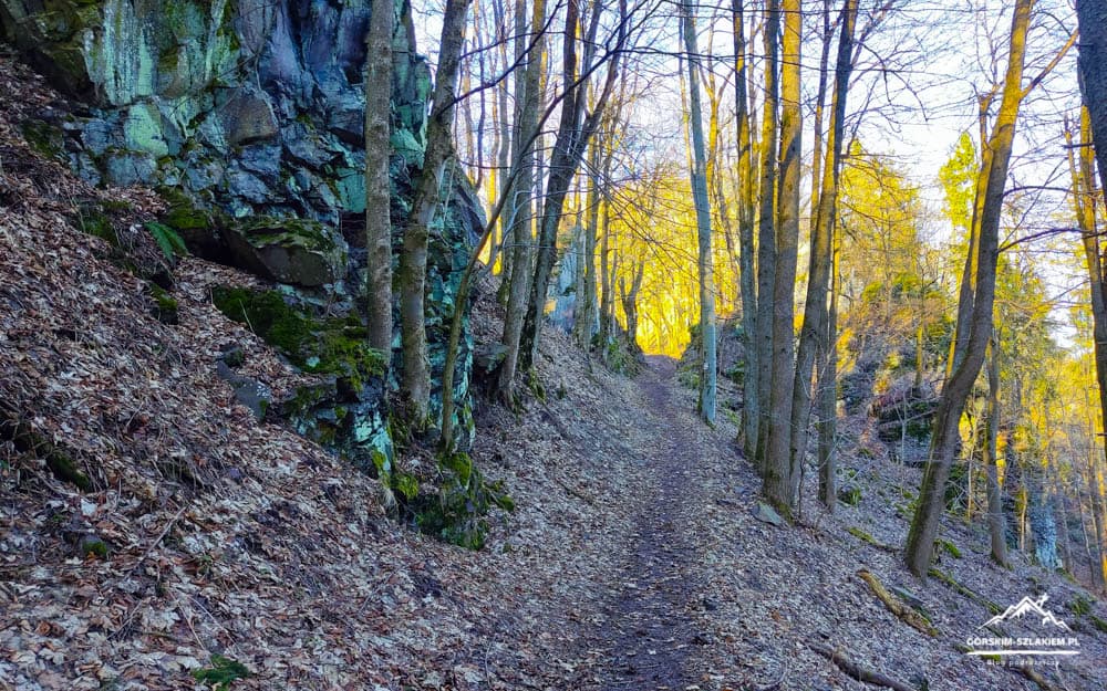 Trail winding through a rocky forest with fallen leaves along a sunlit path.