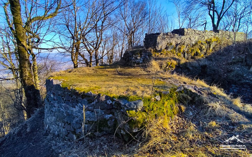 Ruined stone wall on a sunny hillside with moss, bare trees, and a blue sky behind it.