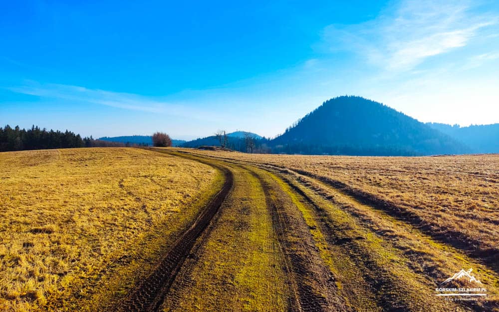 Winding dirt road through a dry field toward distant hills under a bright blue sky.