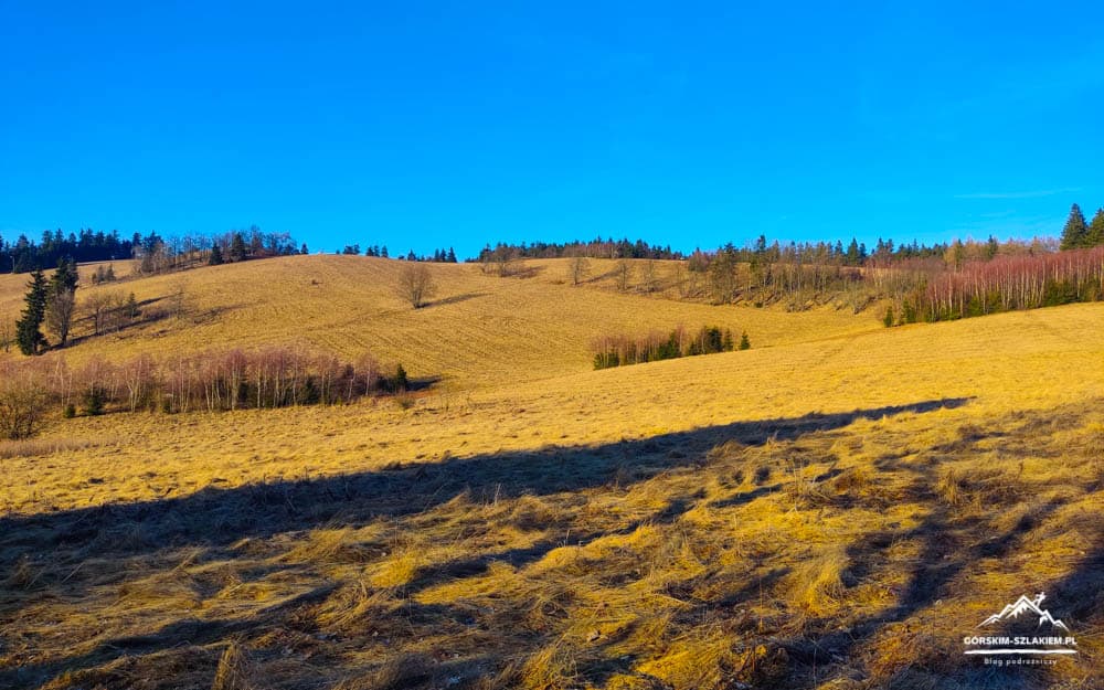 Wide open grassy hillside under a bright blue sky with scattered trees and long shadows across the golden field; small logo in bottom-right corner.