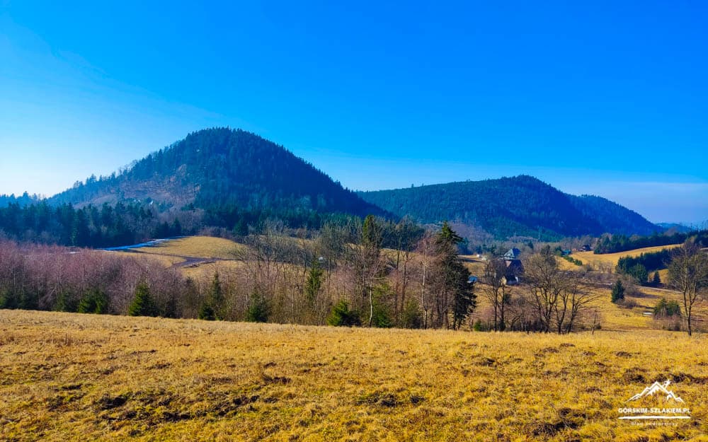 Wide view of a golden meadow with rolling forested hills under a bright blue sky.
