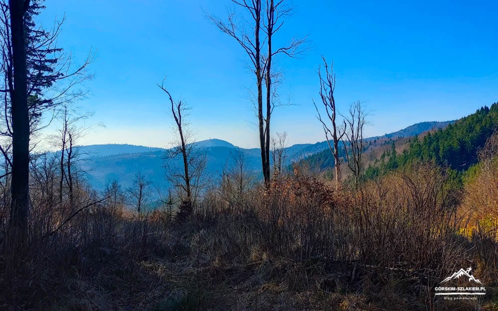 Mountain valley scene with bare trees in foreground and blue sky over rolling hills.