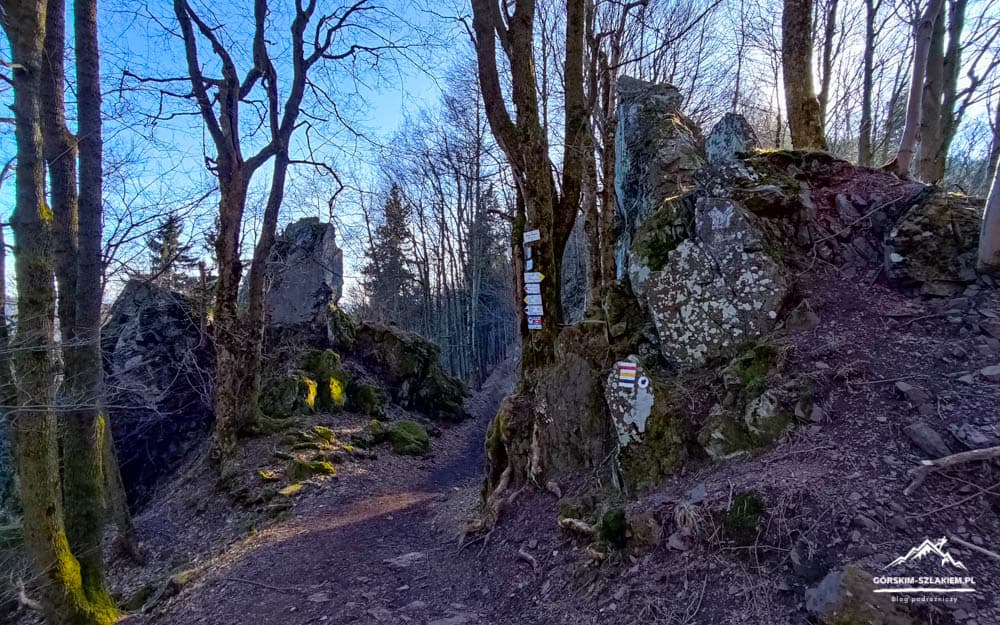 Dirt hiking path winds between mossy rocks in a leafless forest under a blue sky, with trail markers on a rock nearby.