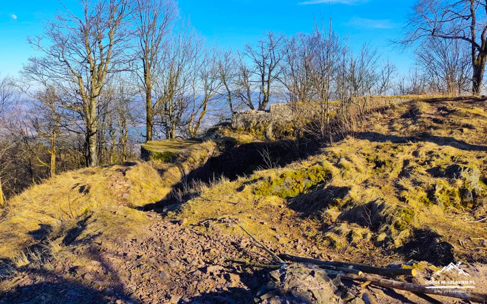 Sunlit hillside with bare trees, rocky, uneven ground and a clear blue sky, distant valley in the background. (informative landscape image)