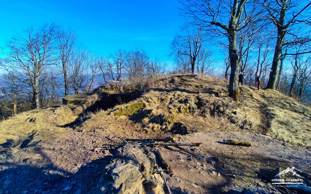 Hilltop with a dirt path, leafless trees, and rocky, sunlit ground under a bright blue sky; distant valley visible beyond the ridge.