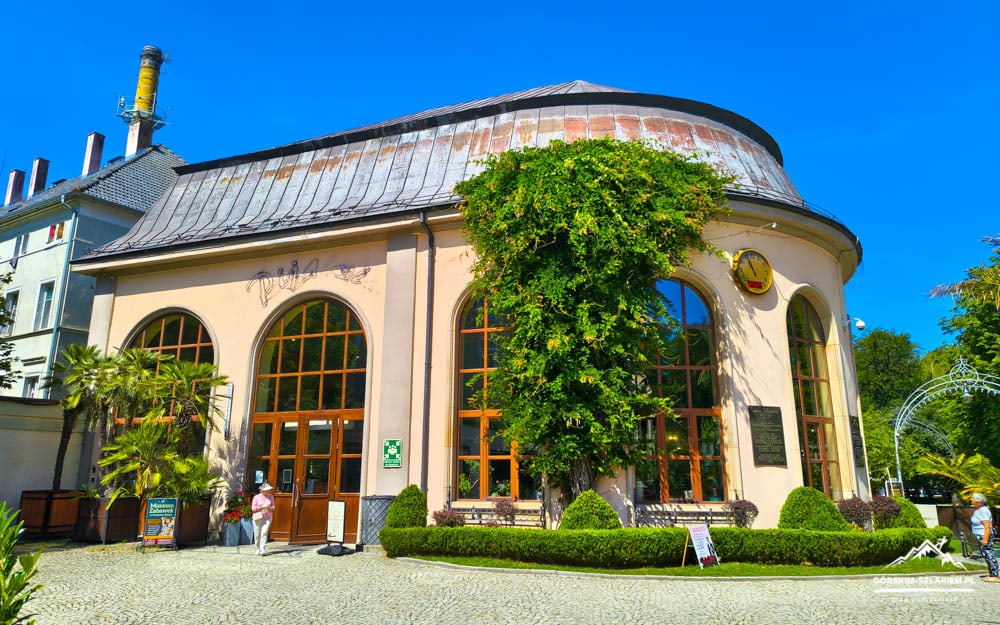 Peach-colored historic building with large arched windows, ivy-covered corner, and manicured shrubs in a sunny cobblestone courtyard.