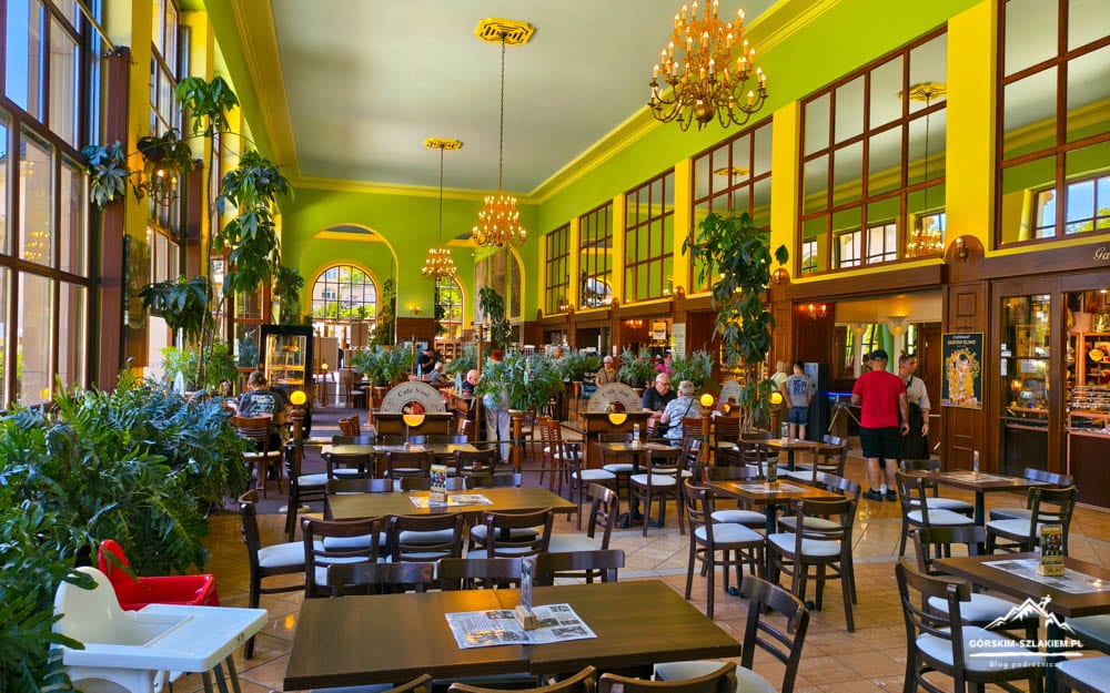 Bright indoor dining hall with green walls, chandeliers, and many potted plants around wooden tables and chairs.