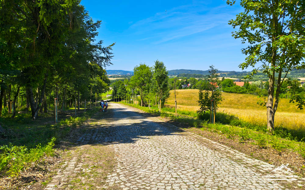 Sunlit cobblestone country road flanked by trees, with two people walking in the distance and golden fields beyond.