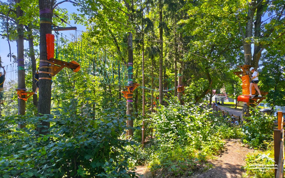 People navigate an outdoor rope course among trees with safety harnesses and orange platforms along a wooded path.