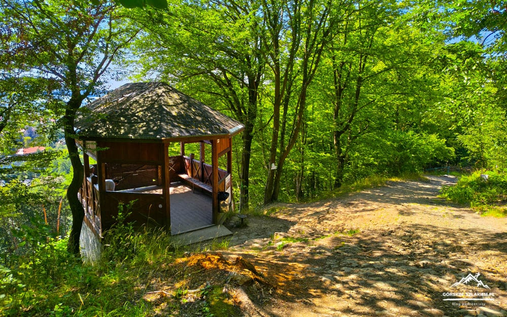 Wooden gazebo with a thatched roof on a dirt trail in a lush green forest, sunlight filtering through the trees.