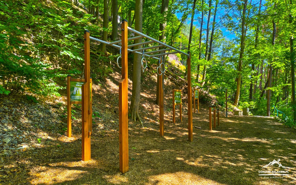 Outdoor fitness area in a forest with wooden posts, rings, and monkey bars along a dirt path under dappled sunlight.