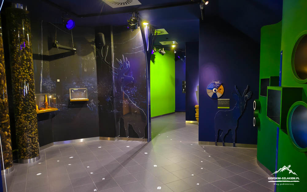 Interior of a nature museum hallway: dark walls with deer silhouettes, a lime-green doorway, blue walls, and a circular display; glass cases and a tall pellet-filled column on the left.