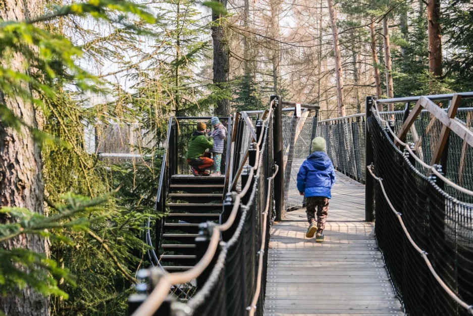 Children on a wooden suspension bridge in a forest, one in a blue jacket walking toward the camera while others compare their gear on the platform nearby.