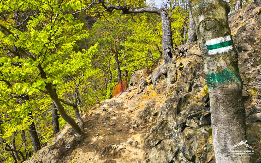 Winding dirt hiking trail along a rocky hillside, surrounded by bright green spring foliage; a tree shows white and green trail markings, with orange railing visible further along.