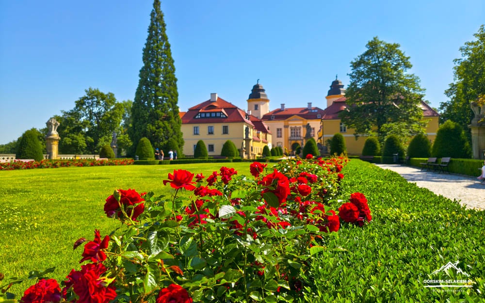 Red roses in a manicured garden in front of a yellow castle with red roofs under a blue sky.