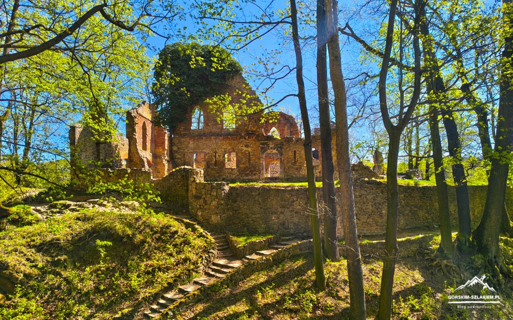 Ruined stone building in a sunlit forest, with a stone staircase leading up to the walls.