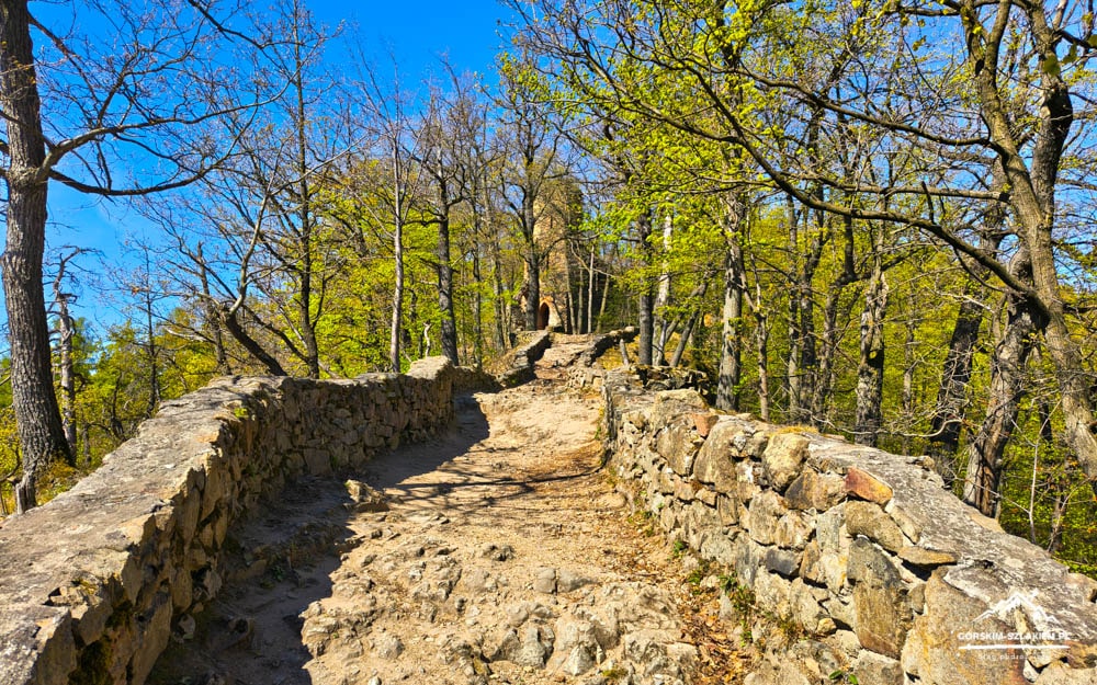 Stone path with low stone walls on both sides weaving through a sunlit forest under a bright blue sky.